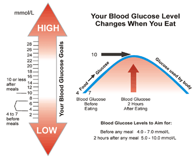 The Normal Glucose Level in Blood | Diabetes Healthy Solutions