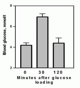 Healthy Blood Sugar Level Healthy Blood Sugar Level