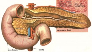 symptoms of type ii diabetes