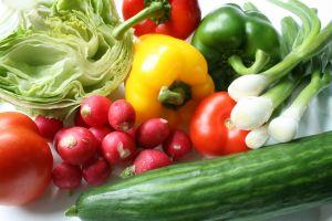 diabetes menu planning diabetes menu planning