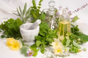 Herbs For Blood Sugar